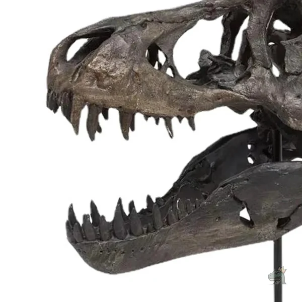 Tête de dinosaure T-Rex en version squelette